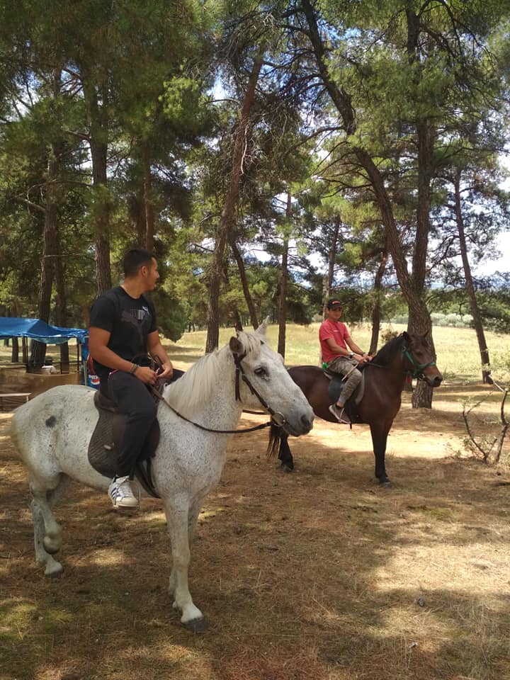 Γιορτές του Δάσους 2012